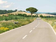 Excursions d’une journée au départ de Florence